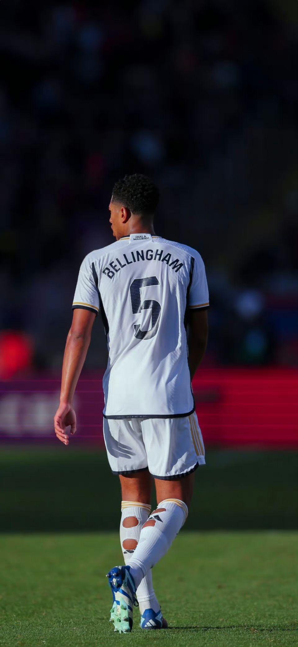 澳门博彩业2025年平均每日收入回升至8亿澳门元